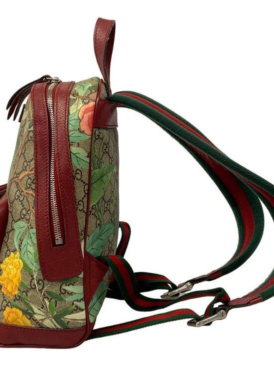 GUCCI GG Supreme Tian Small Back 427042 Bordeaux Beige Multi PVC Leather main image 9